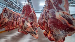 KEMİKLİ KARKAS DANA ETİ SATIN ALINACAK