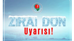 Amasya’ya Zirai Don Alarmı