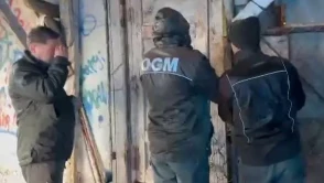 Valilikten Kritik Açıklama: “Ahır Mühürlendi Ama Hayvanlar Mahsur Değil”