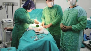 2 Hastanın Mesanesinden Toplam 27 Taş Çıkarıldı