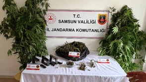 Uyuşturucu Operasyonu: 1 Kişi Tutuklandı