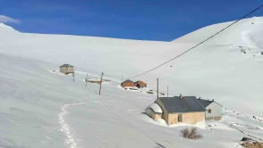 Ayı saldırılarının yaşandığı yaylada ulaşım sorunu sürüyor
