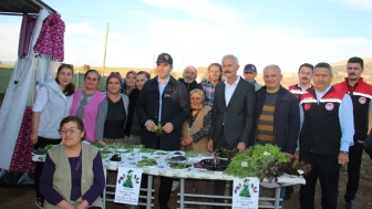 Yassıçal Köyü’nde Tıbbi Aromatik Bitkiler İncelendi