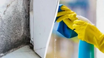 Duvarlarda artık siyah küf olmayacak! Basit tüyo