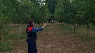 Amasya’da Tarımsal Arazi Vasıf Değişikliği İşlemleri Devam Ediyor