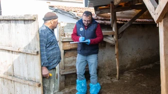 Amasya’da Hayvancılığa Proje Desteği