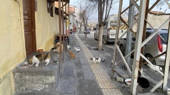 Merzifon’da Sessiz Kahraman!