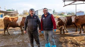 Köyümde Yaşamak İçin Bir Sürü Nedenim Var