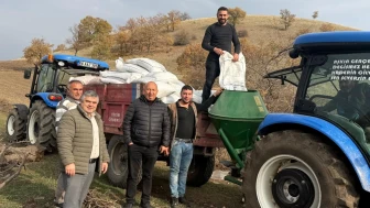 Taşova’da Buğday Ekim Alanlarında Teknik Kontroller Sürüyor
