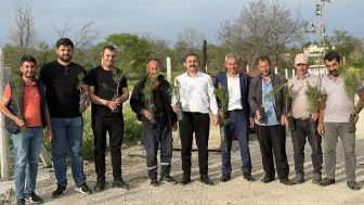 Merzifon Gençlerinden Akören’e Anlamlı Fidan Bağışı: “Gölgeye Değil, Köklerine Talibiz”