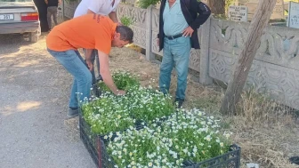 Gümüşhacıköy Belediyesi’nden Bayramda Anlamlı Jest: Mezarlıklarda Ücretsiz Çiçek Dağıtımı Yapıldı