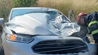 Yola Çıkan Hayvana Çarptı!