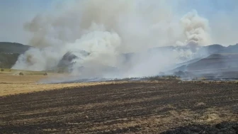 Aktarla Köyü’nde Yangın Ormana Sıçradı!