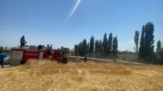 Yine Çavundur, Yine Yangın! İtfaiyeden Hızlı Müdahale