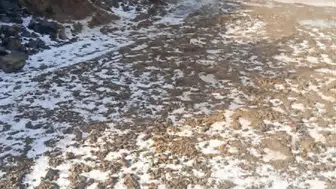 Gümüşhacıköy’ü Dolu Vurdu! Ekili Arazilerde Büyük Hasar İddiası
