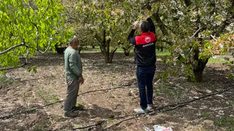 Amasya’da Üreticileri Koruyacak Hamle