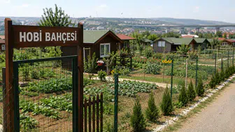 Hobi Bahçesi Dönemi Bitiyor! Yeni Yasak Resmen Yürürlükte
