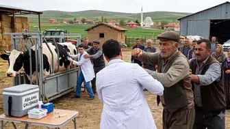 Çorum'da Hayvan Aşılama Ekibine Çirkin Saldırı!