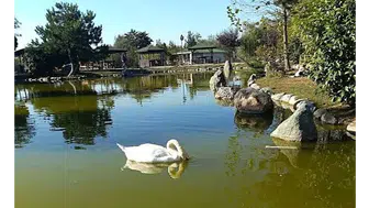Yedikır Suluova’da mı, Merzifon’da mı Parlar?