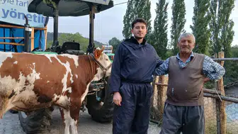 Amasya’da Hayvan Islahı Sahada