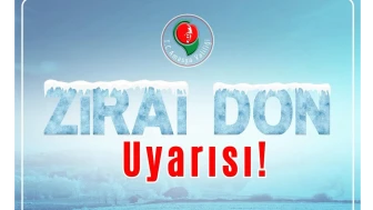 Amasya’ya Zirai Don Alarmı