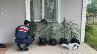 Eve Kurduğu Düzenekle Kenevir Yetiştiren Şahıs Yakalandı