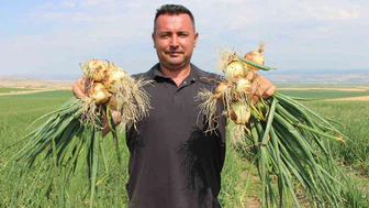 Amasya’da soğan bir bardak çaydan bile ucuz