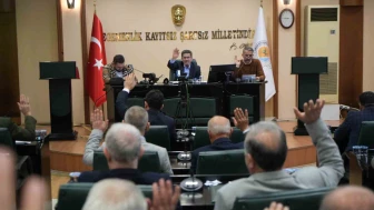 Amasya Samsun'dan Akyar Yaylalarını İstiyor!