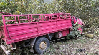 Kamyonet fındık bahçesine yuvarlandı: 4 ölü, 1 yaralı