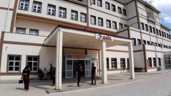 Ayı saldırısında 1 kişi yaralandı: Saldırı sonrası av kararı