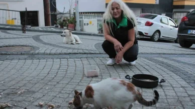 19 yıldır sokak kedilerine annelik yapıyor