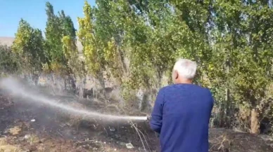 Alaca'da anız yangını