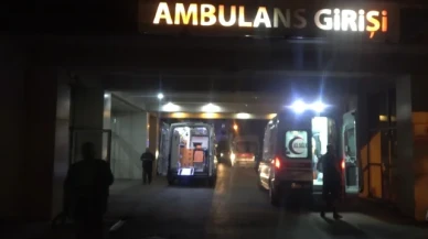 Armut toplarken ağaçtan düşen şahıs yaralandı