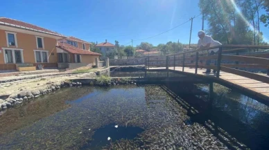 Binlerce asker balığının salındığı göl turizme kazandırılacak