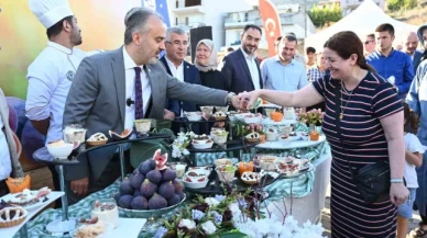 Bursa'nın 'Siyah incisi'nde hasat başladı