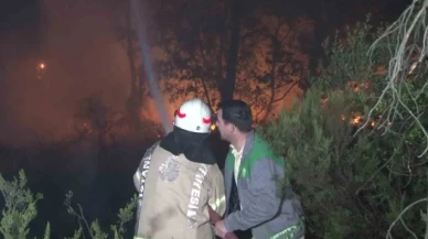 Çekmeköy'de ormanlık alanda çıkan yangın kontrol altına alındı