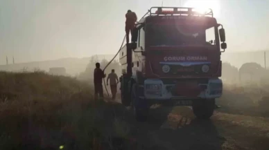 Çorum'da 15 bin dönüm arazi küle döndü