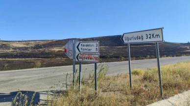 Çorum'da anız yangını: Yüzlerce dönüm alan zarar gördü