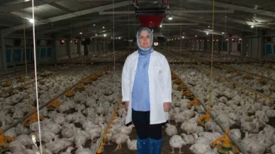 Devletten aldığı destekle üretim yapıyor