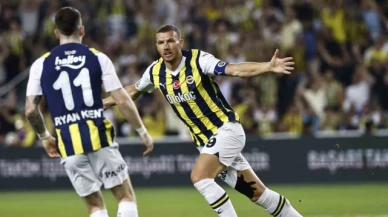 Fenerbahçe'nin yaz transfer dönemi dosyası