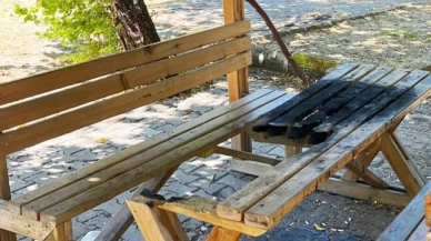 Gediz'de kamelyalara zarar veren kişi veya kişiler tepki