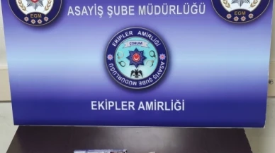 Huzur uygulamasında 10 silah ele geçirildi