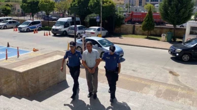 İki kişinin hayatını kaybettiği feci kazada kamyonet sürücüsü tutuklandı