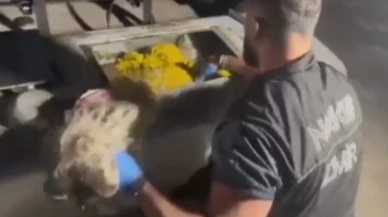 İzmir'de tırın akaryakıt deposundan yaklaşık 58 kilo uyuşturucu çıktı