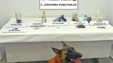Jandarma narkotik köpeği 'Limon' ilk operasyonunda tespit etti