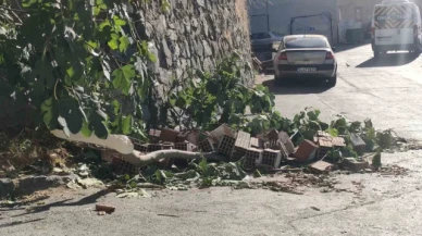 Kağıthane'de 13 yaşındaki kız incir toplarken canından oluyordu