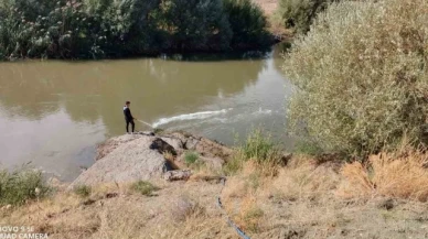 Kızılırmak'ta üvez sineği ile etkin mücadele devam ediyor