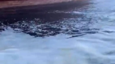 Marmara Denizi'ni kirleten gemiye 7 milyon 717 bin lira ceza