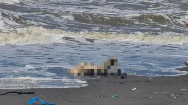 Ordu'da kaybolan şahsın cesedi Batum'da kıyıya vurdu