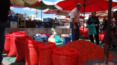 Şifa deposu kuşburnu el yakıyor!